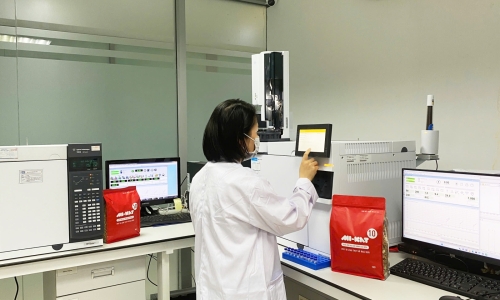 Hỗ trợ cộng đồng thú cưng tại các trung tâm cứu hộ